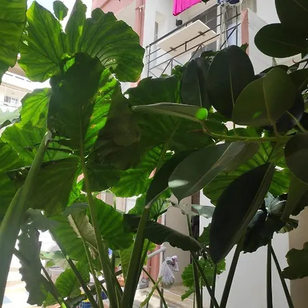 Apartment Katerina